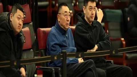 德乙激战！荷尔斯泰因能否延续霸主风采，挑战菲尔特连败纪录？